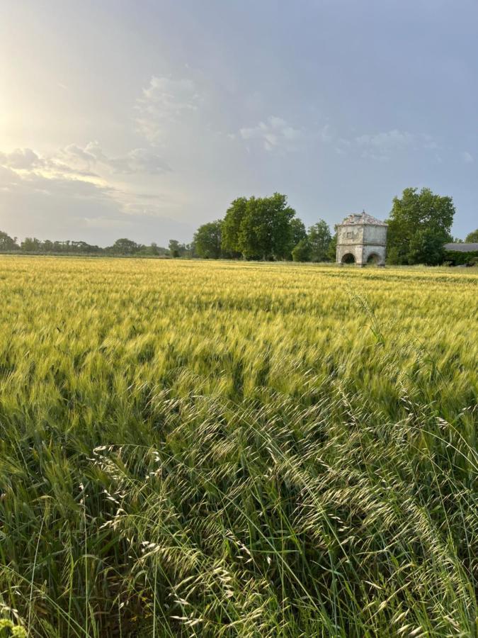 Suite A La Villa Cattus Bram Екстер'єр фото